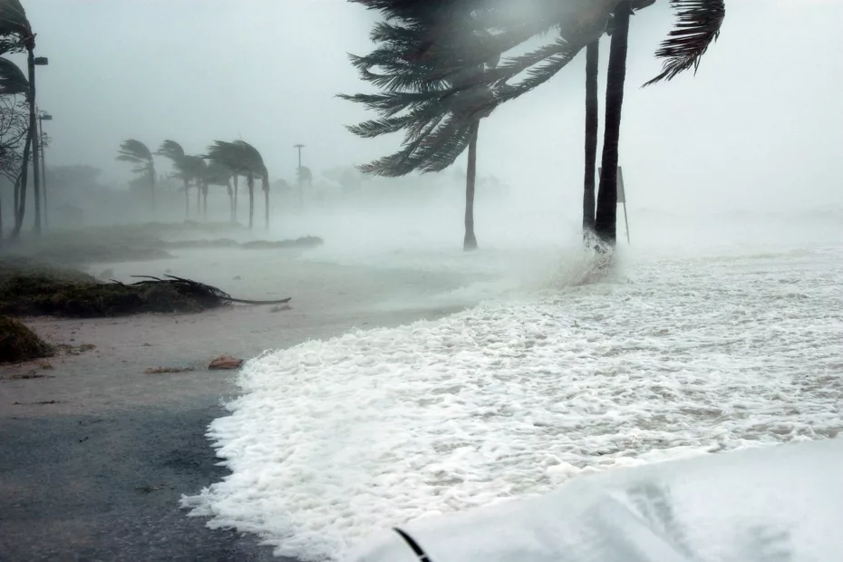 Il vento in meteorologia